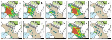 Evaluating the Behavior and Temperament of African Penguins in a Non ...