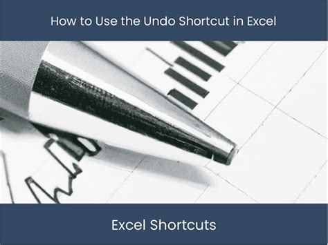 Image result for Undo Function in Excel Use VBA