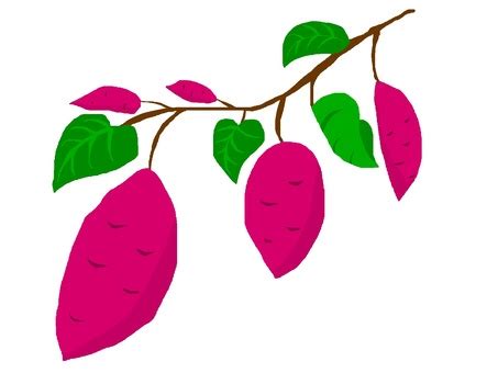 Make Connection in WebSocket JavaScript に対する画像結果