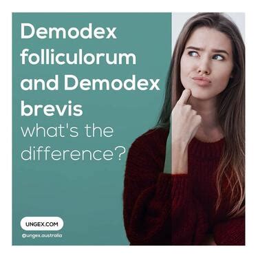 Demodex Folliculorum And Demodex Brevis Whats The Differe - Health ...