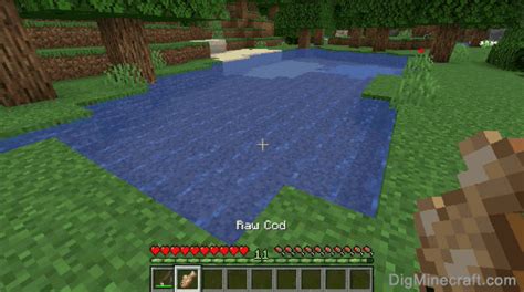 Image result for Cod Minecraft Cod Real