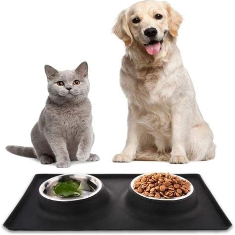 Stainless Steel Pet Bowl Set with Anti Skid Silicone Base – MyPetPoint