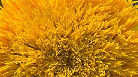 Image result for Object Reference Error Meme