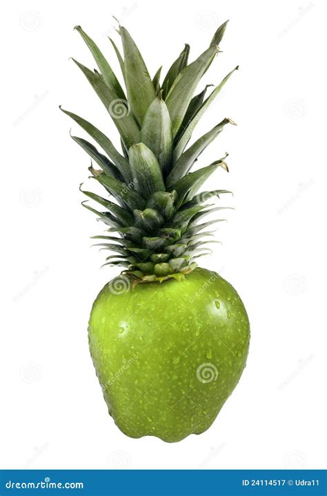 New Fruit Hybrids at Michelle Owen blog