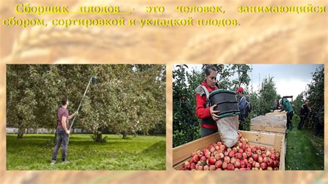 "Обзор профессий растениеводства"