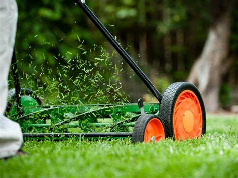 Manual Reel Mower Benefits And How To Use A Reel Mower | Gardening Know How