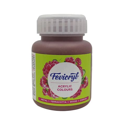 Burnt sienna Acrylic Colours 100 ml /Pidilite Fevicryl – Goyalbazaar