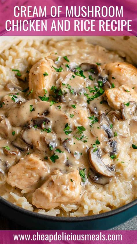 Campbell Chicken And Rice Recipe - Cheap Delicious Meals