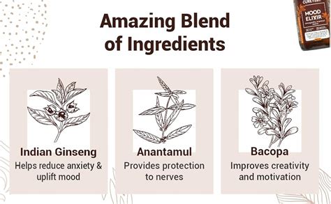 Cureveda Herbal Mood Elixir Syrup for Women and Men, Rejuvenate Mind ...