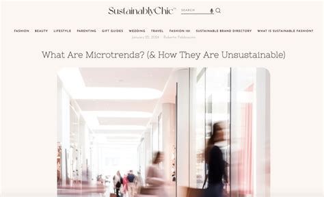 Image result for Moderndayconsumerist Blog Post Com