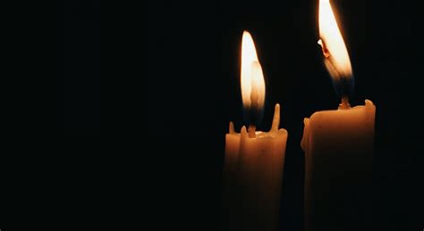 Eight-year-old boy dies of Kyasanur Forest Disease in Manipal