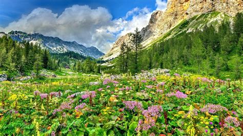 Image result for Alps Landscape