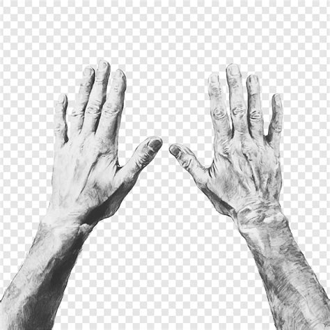 Renaissance hands Images - Free Download on Freepik