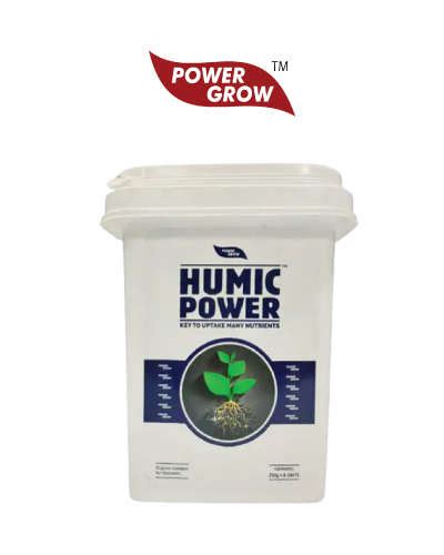 AgroStar Humic Power 8X250 g (Humic & Fulvic Acid 50% min.) 2 kg Bucket ...