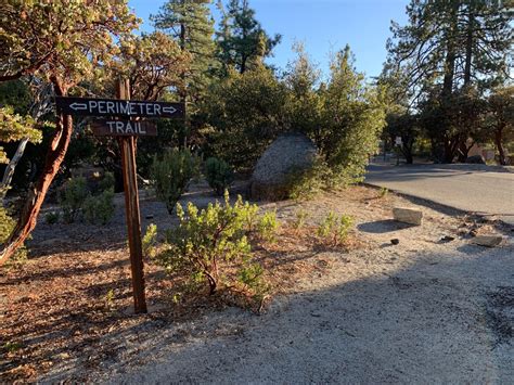 Hiking The Perimeter Loop Trail, Idyllwild Nature Center (Idyllwild, CA ...