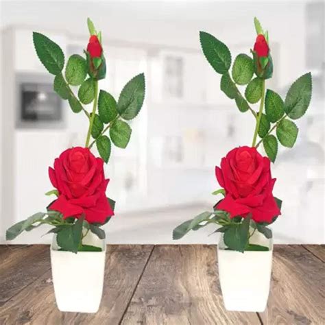 Buy Litleo for Wedding Proposal Bride Home Decoration and The Best Gift ...