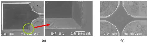 Sensors | Special Issue : Optical Biosensors