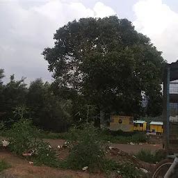 Osani Siddhar (Maanika Siddhar) Jeeva Samadhi - Kollimalai - Hindu ...