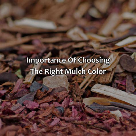Image result for How to Color Mulch