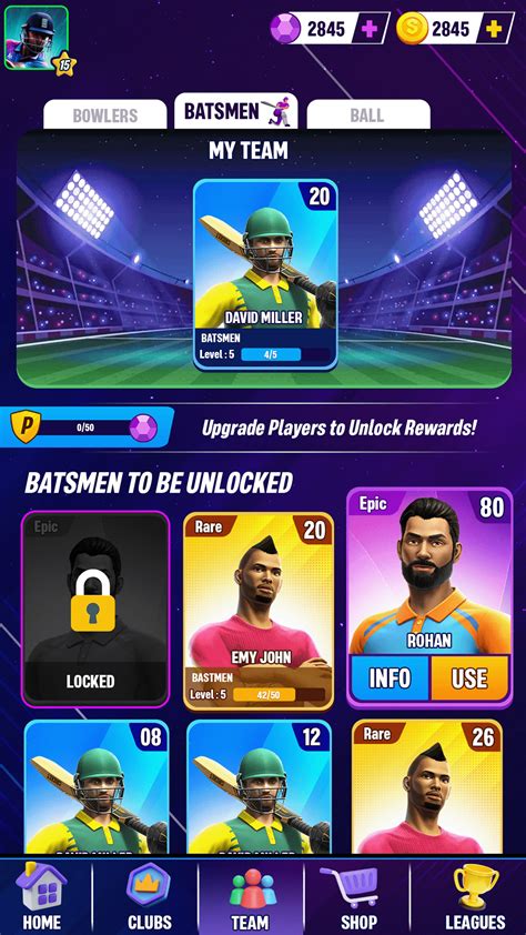 Image result for Cricket Game Java Code