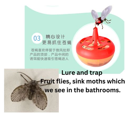 Fruit flies Bathroom fleas moth Jelly trap (Sg ready stock) | Shopee ...