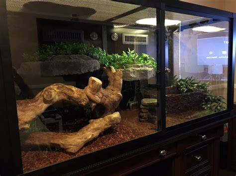 Chinese Water Dragon Terrarium Plans