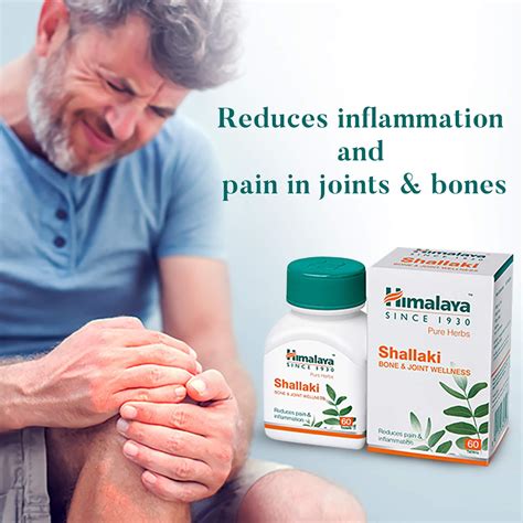 Himalaya Shallaki - Reduces Pain & Inflammation – Himalaya Wellness (India)