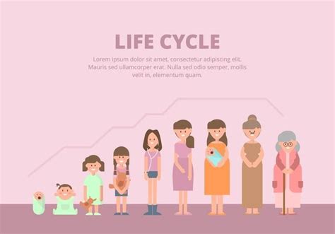 Image result for Life Cycle Animation