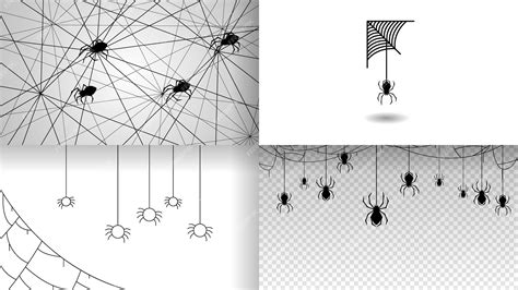 Premium Vector | Set spiders on web collection with white backgroaund ...