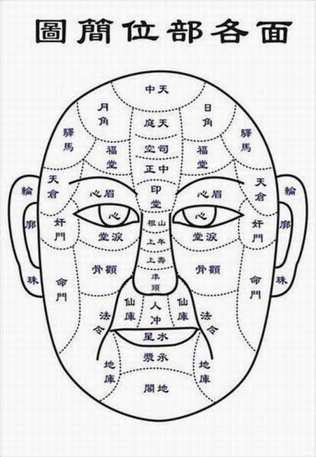 人中识人术1！五官面相分析 - 哔哩哔哩