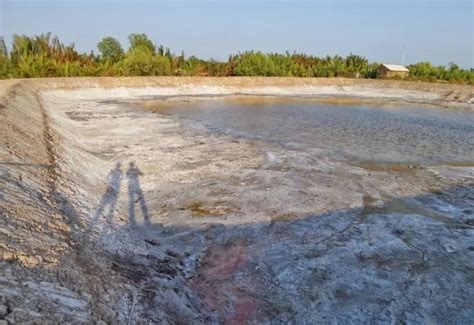 Image result for Catfish Farming Tips