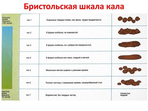 Антибиотики кал