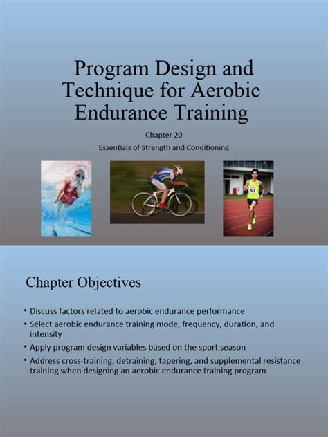 Exercise Program Design Examples 的图像结果
