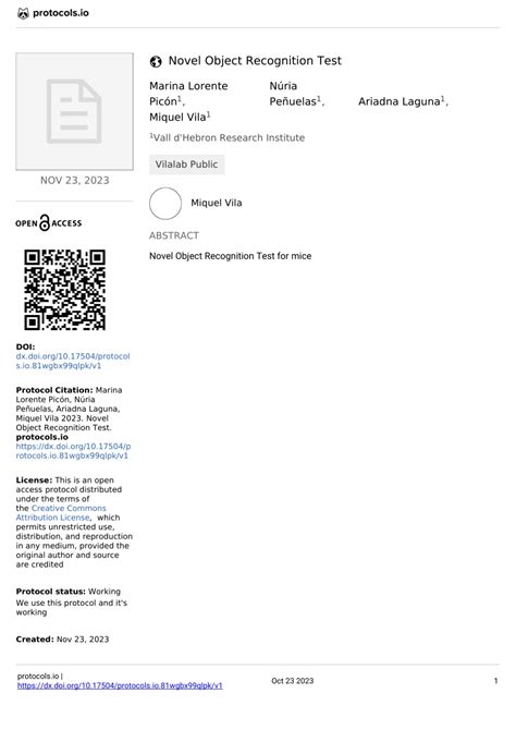 Image result for Object Learning Test