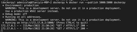 How to Run Python Code in Docker 的图像结果
