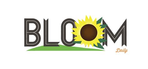 Webnow - Portfolio - Logo Design