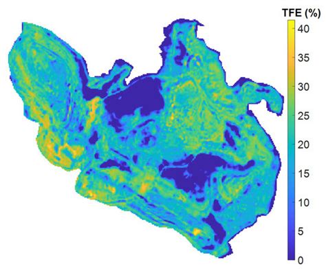 Rapid Detection of Iron Ore and Mining Areas Based on MSSA-BNVTELM ...
