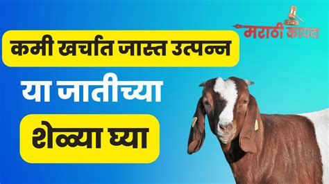 Animal Husbandry 的图像结果