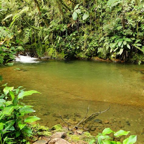 SERRA RIO DO JULIO (2026) All You Need to Know BEFORE You Go (with ...