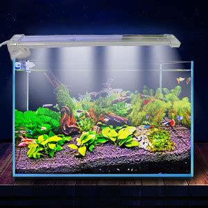 Bluepet White, Blue LED Aquarium Light Price in India - Buy Bluepet ...