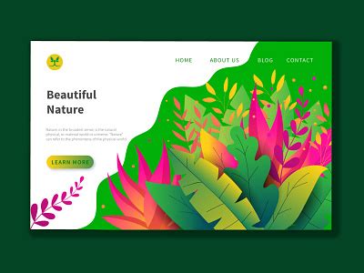 Image result for Web Development Kit