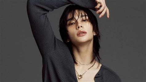 Stray Kids' Hyunjin Joins Blackpink's Jisoo And BTS' V As Cartier's ...