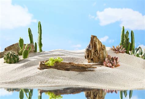 Buy Desert Mural Wallpaper – ₹99/sq ft