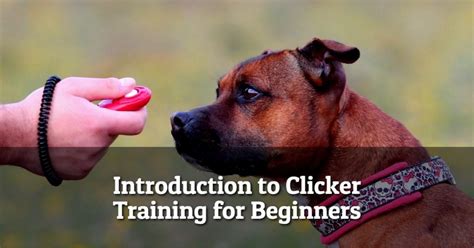 Image result for Clicker Trainer