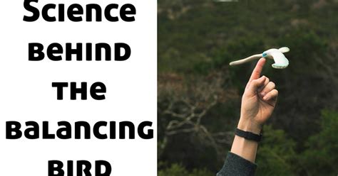 Balancing bird | what is the science behind the balancing bird
