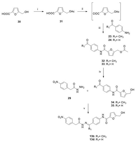 Identification of N-Acyl Hydrazones as New Non-Zinc-Binding MMP-13 ...