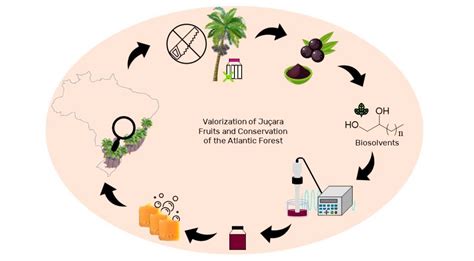Juçara Fruit (Euterpe Edulis Martius) Valorization Combining Emergent ...