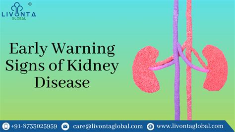 Early Warning Signs of Kidney Disease - Livonta Global Pvt Ltd