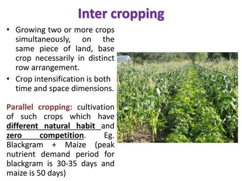 Image result for Cropping System Types