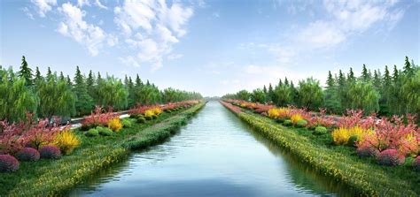 重庆璧山区栽植500余亩河道水生植物净化水质 - 企业动态 - 重庆江与溪河水生植物种植有限公司，重庆水生植物，重庆湿地植物，